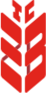 Spark Integrity Bank Logo